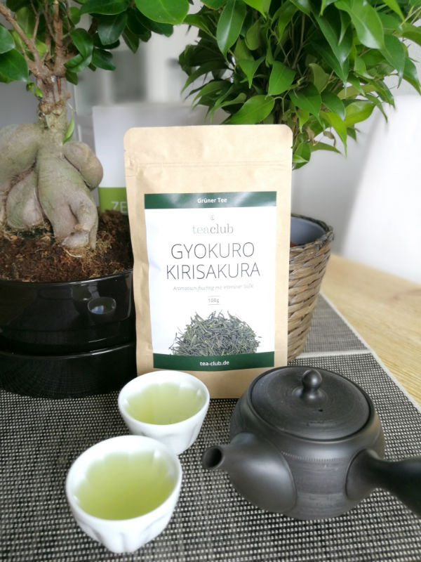 Gyokuro Zubereitung mit Japanischer Teekanne