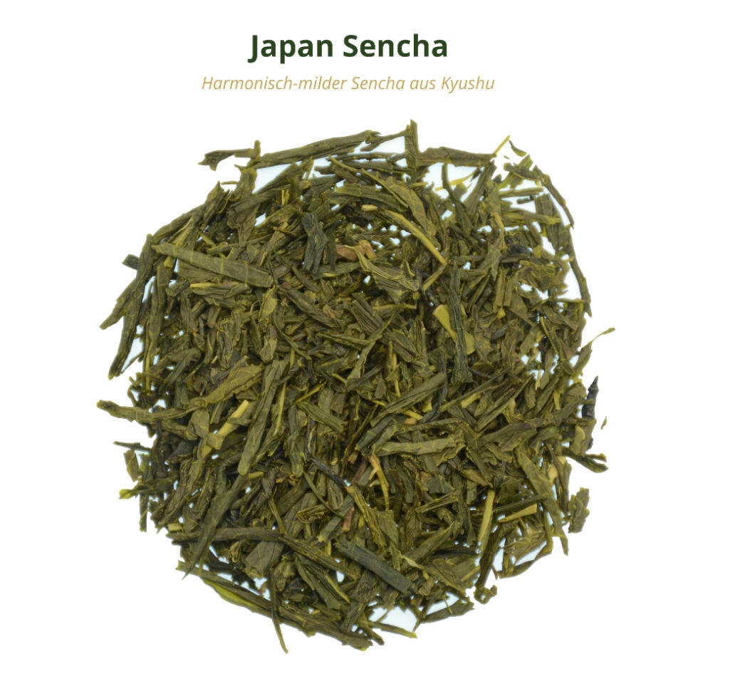 Japan Sencha Grüner Tee