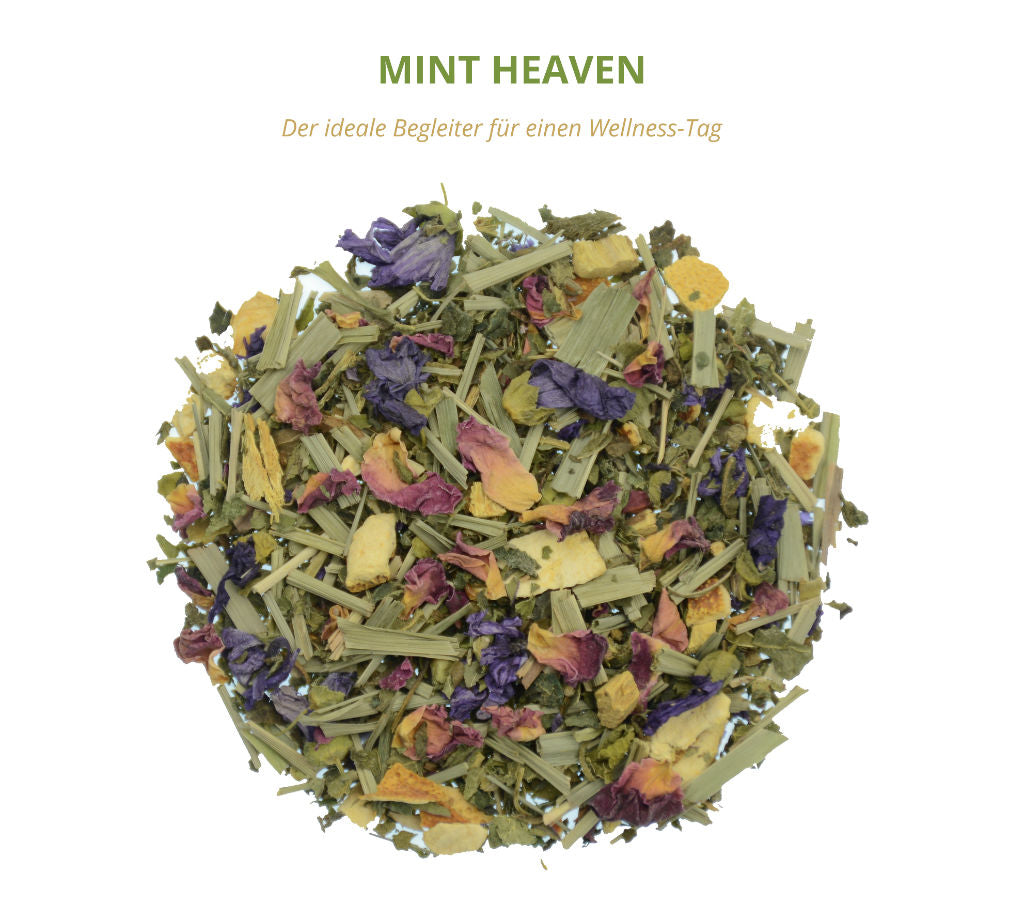 Basischer Kräutertee mit Brennnessel und Minze