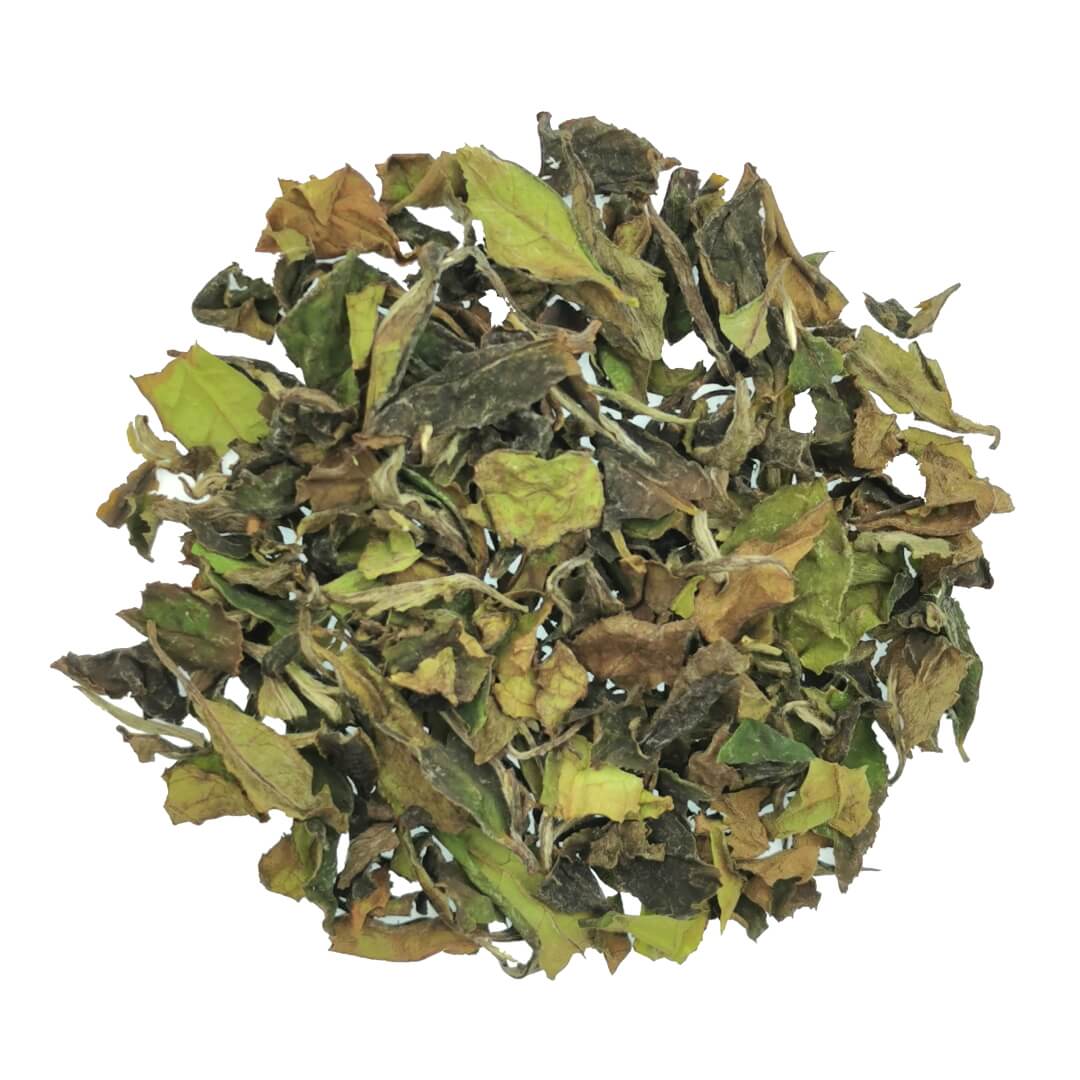 Weißer Tee aus Japan