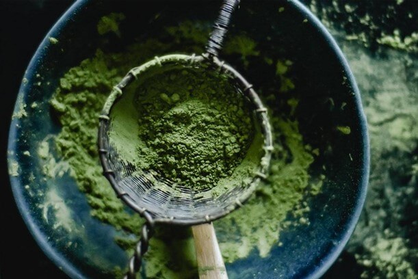 TeaClub Matcha Guide