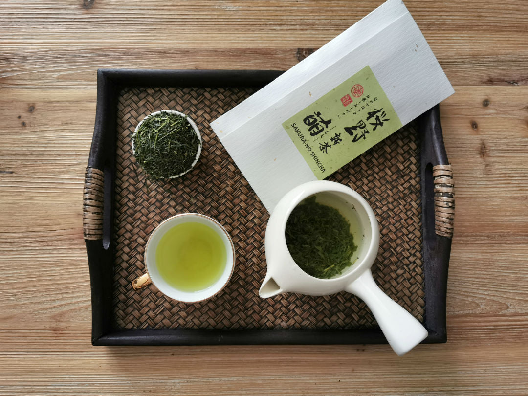 Shincha Grüner Tee