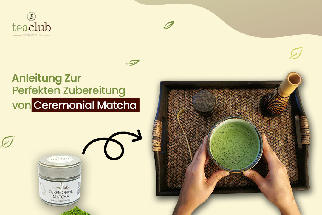 Zubereitung von Ceremonial Matcha für Anfänger