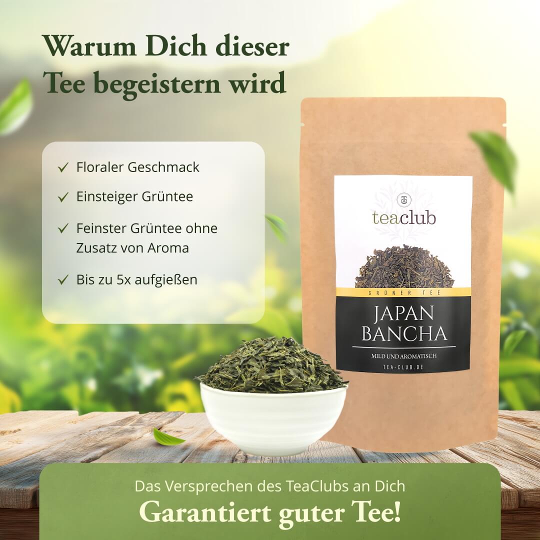 Japan Bancha Grüner Tee Japan
