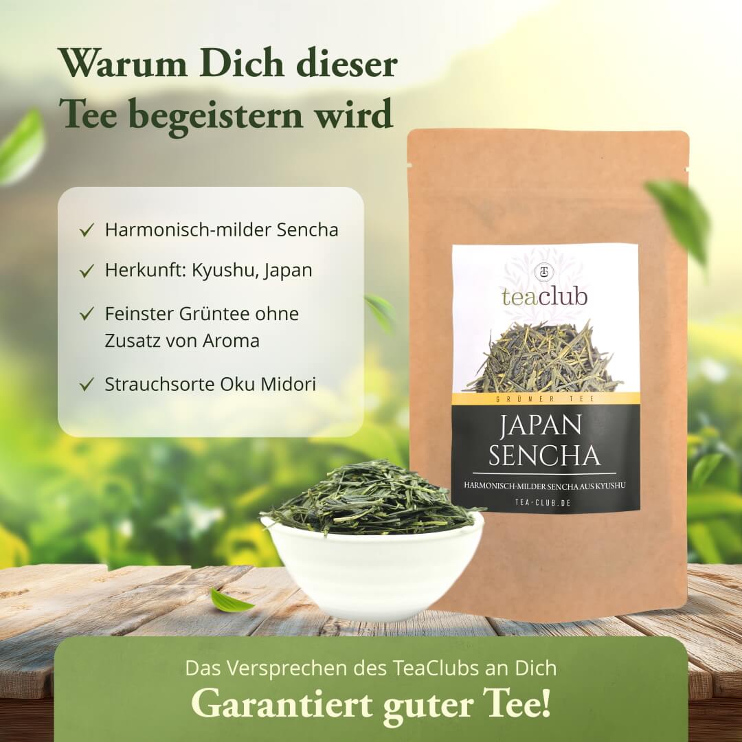 Japan Sencha Grüner Tee