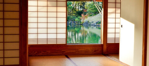 Japanischer Grüner Tee