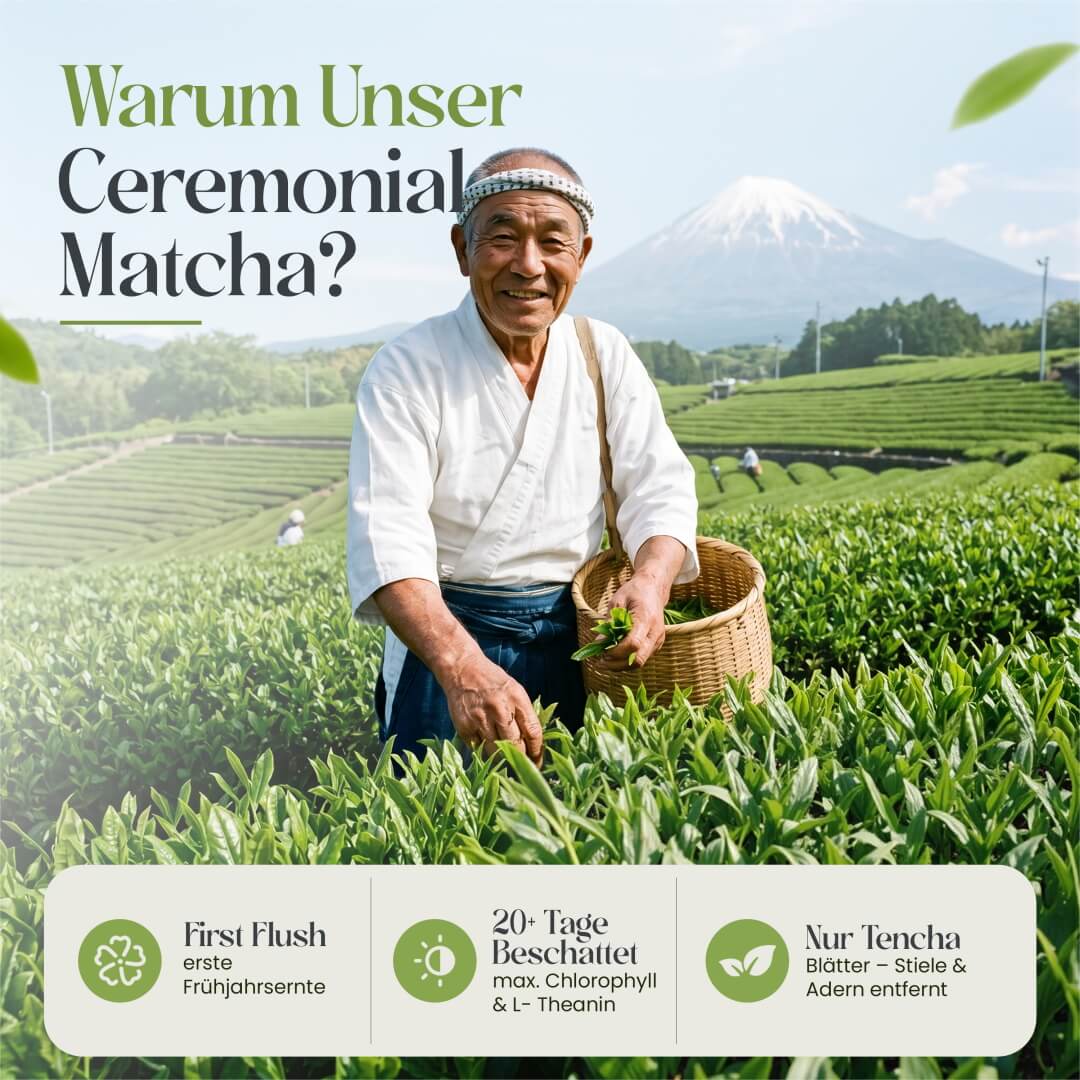 TeaClub Ceremonial Matcha