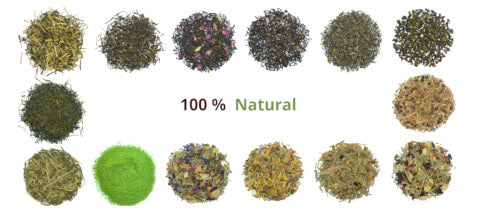 TeaClub Tee Onlineshop