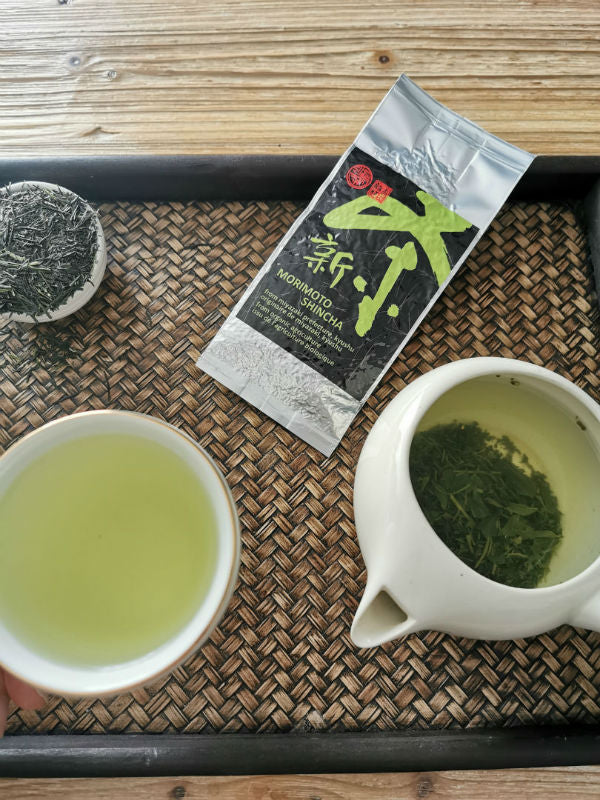 Morimto Shincha frischer Tee